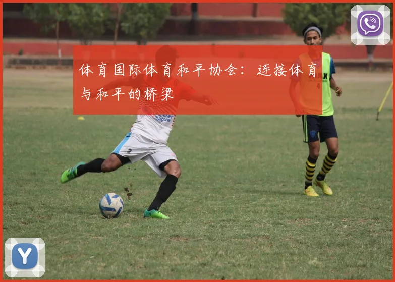 体育国际体育和平协会:连接体育与和平的桥梁