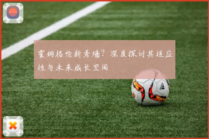 霍姆格伦新秀墙？深度探讨其适应性与未来成长空间