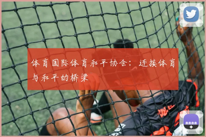 体育国际体育和平协会：连接体育与和平的桥梁
